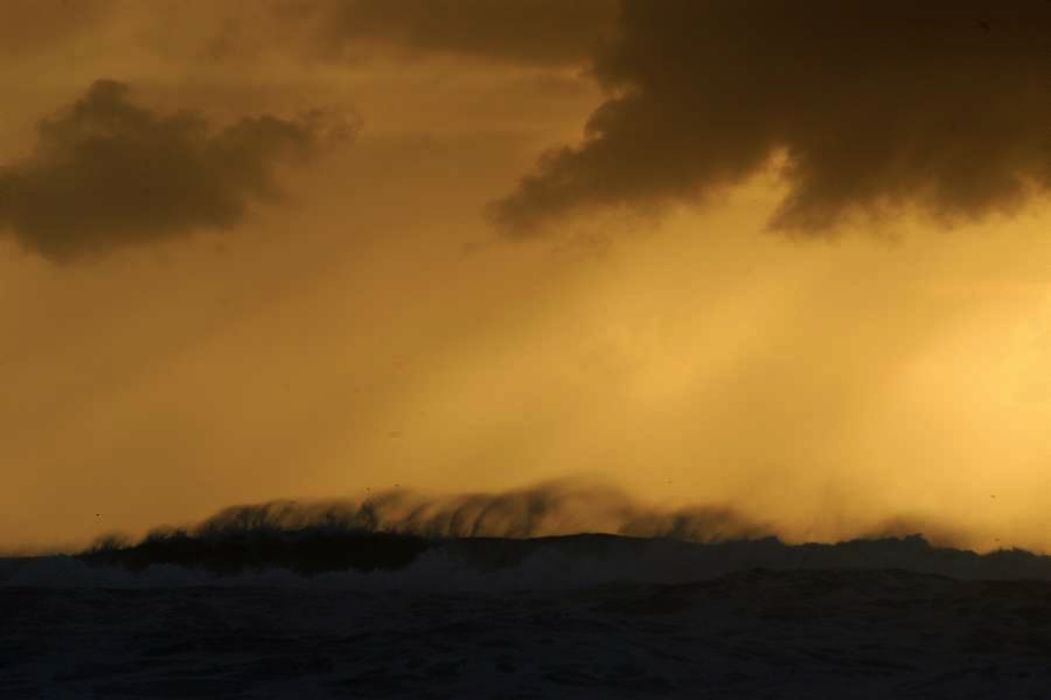 Nom de l'image : D1158809-01_(c)Norbert-JUNG — Description :